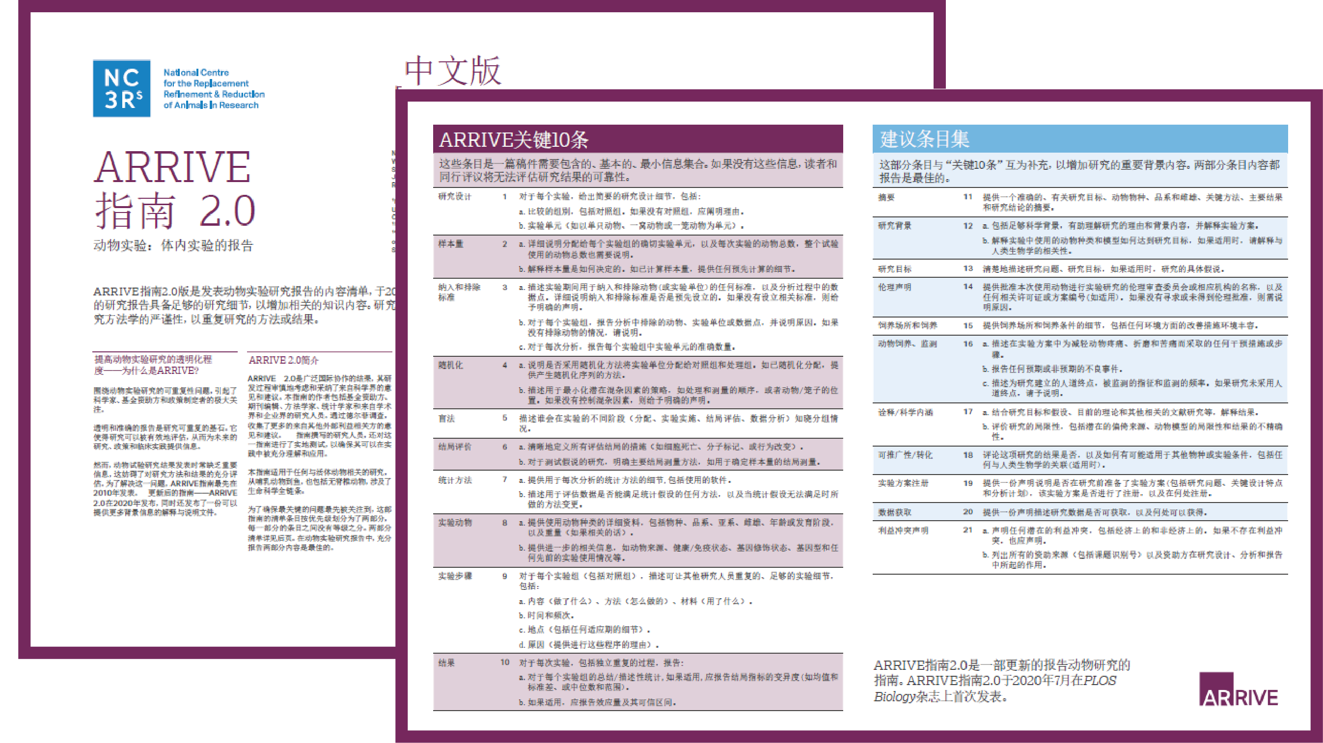 Disease In Chinese Translation